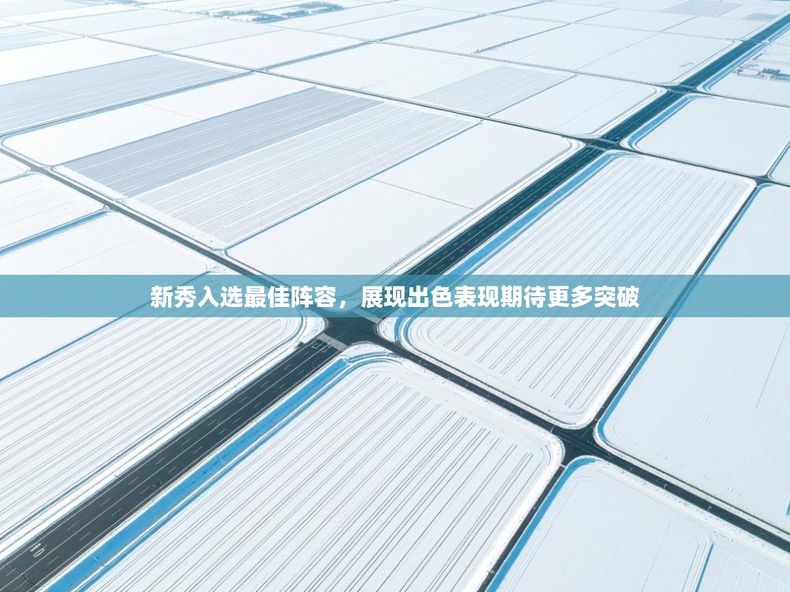 新秀入选最佳阵容，展现出色表现期待更多突破  第1张